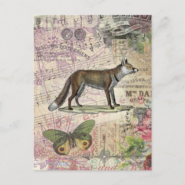 Fox Wildlife Vintage Animal Illustration  Postcard (Front)