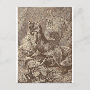 Fox With His Kill Postcard