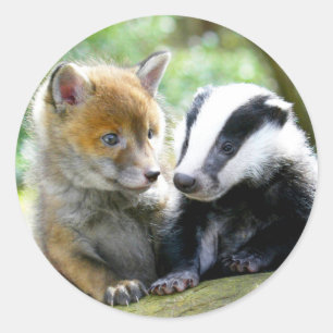 Foxcub & Badger Cute! Classic Round Sticker