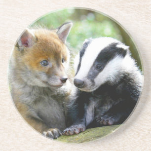 Foxcub & Badger Cute! Coaster