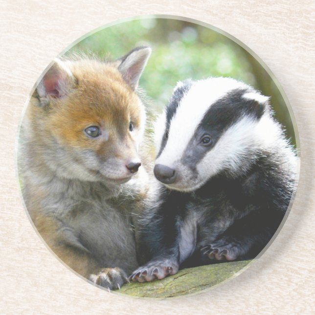 Foxcub & Badger Cute! Coaster (Front)