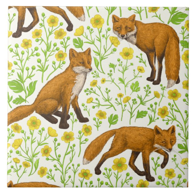 Foxes and buttercups on natural white ceramic tile (Front)