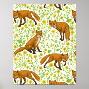 Foxes and buttercups on natural white poster