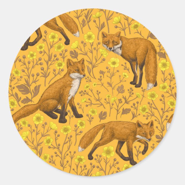 Foxes and buttercups on orange classic round sticker (Front)