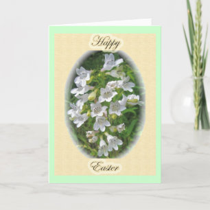 Foxglove Beardtongue Easter Card