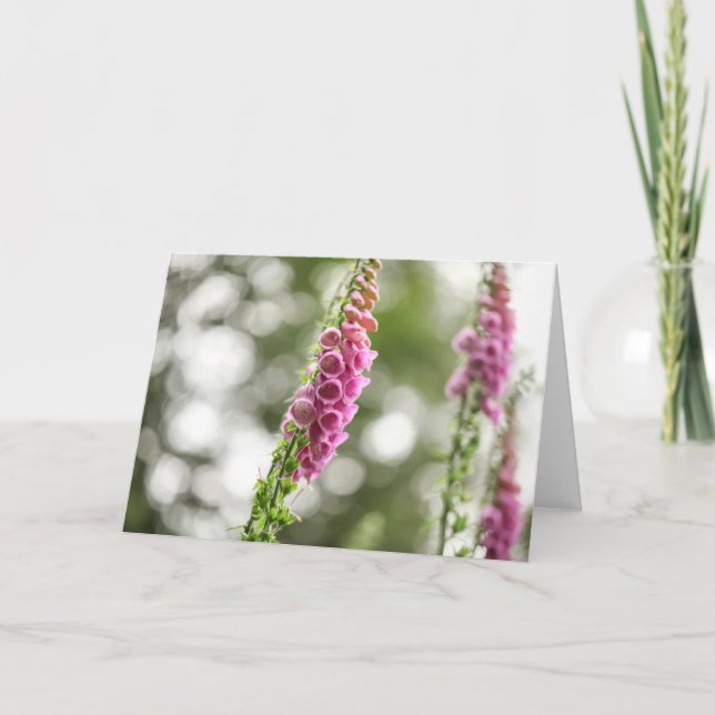 Foxglove Blossom Nature Photo Card (Front)