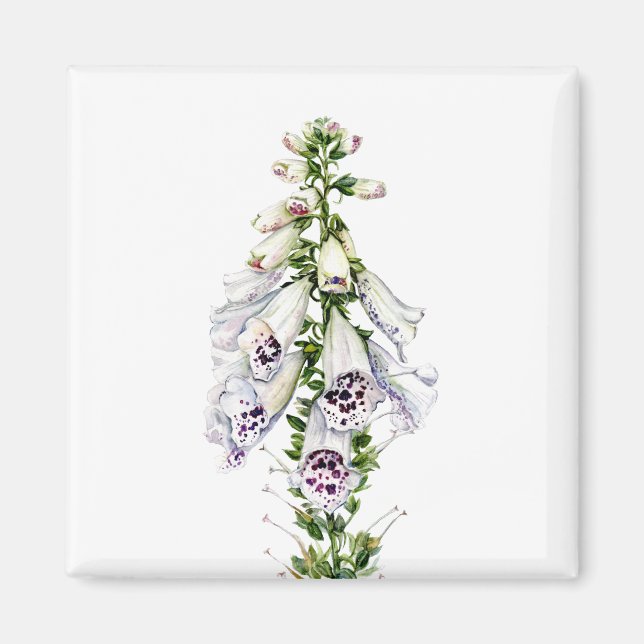 Foxglove flower magnet (Front)