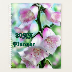 Foxglove Flower Pink Purple Green White Garden Planner