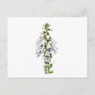 Foxglove flower postcard
