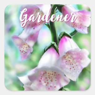 Foxglove Flowers Floral Pink Garden Personalised Square Sticker