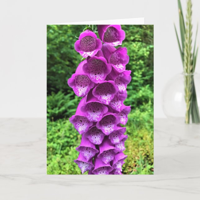 Foxglove Flowers, Oregon Card (Front)