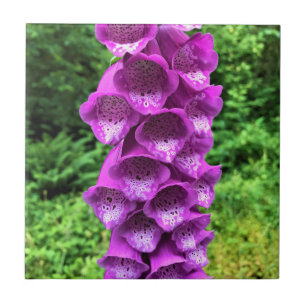Foxglove Flowers, Oregon Ceramic Tile