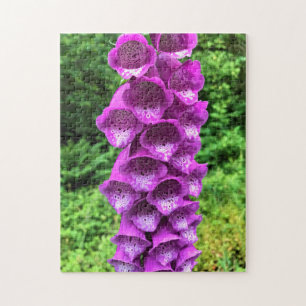 Foxglove Flowers, Oregon Jigsaw Puzzle