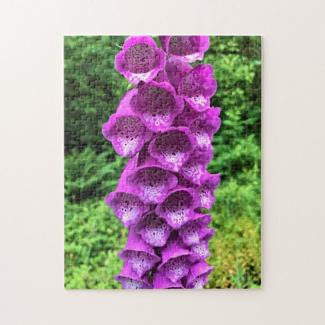 Foxglove Flowers, Oregon Jigsaw Puzzle (Vertical)