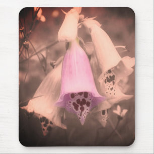 Foxglove Flowers Vintage Black And White Mouse Pad