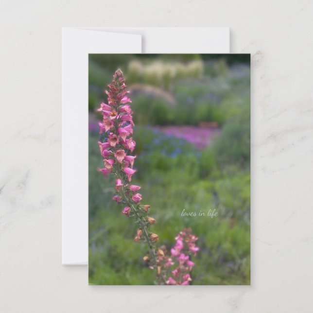 Foxglove in Perennial Garden Card (Front)