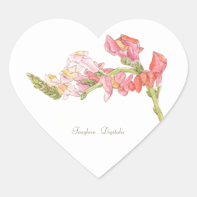 Foxglove Sticker (Front)