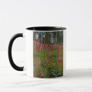 Foxgloves, c.1916 (oil on canvas) mug