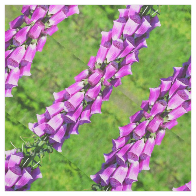 Foxgloves Fabric (Swatch)