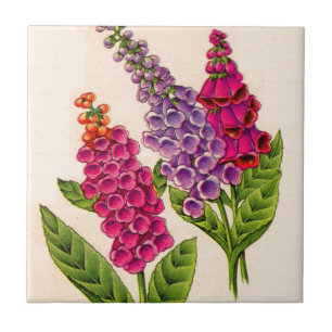 foxgloves in red and purple tile