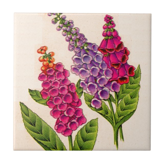 foxgloves in red and purple tile (Front)