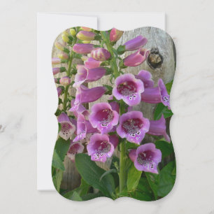 Foxgloves Old World Thank You Card