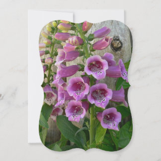 Foxgloves Old World Thank You Card