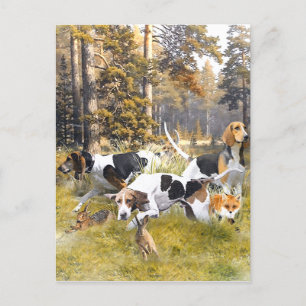 Foxhound  postcard