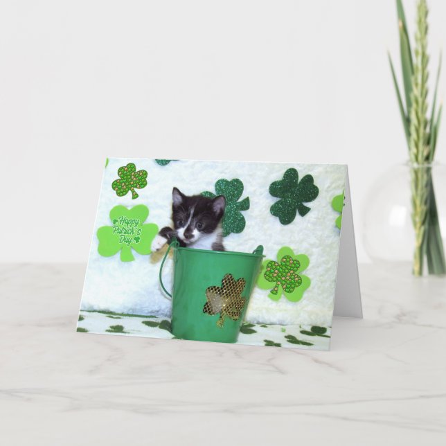 Foxi Moxi - Cat / Kitten St. Patrick's Day Card (Front)