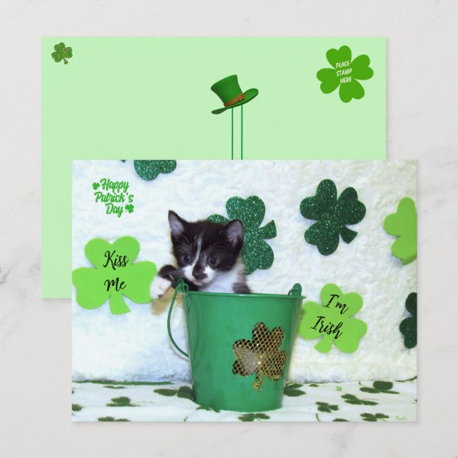 Foxie Cat St. Patrick's Day Card (Front/Back)