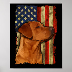 Foxred Labrador Retriever Us Flag Fox Red Labrador Poster
