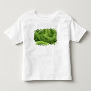 Foxtail Fern, Asparagus densiflorus myers Toddler T-Shirt