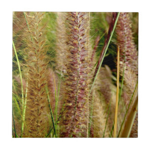 Foxtail grass macro photography picture tile