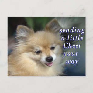 Foxy Cheery Postcard- add your words Postcard