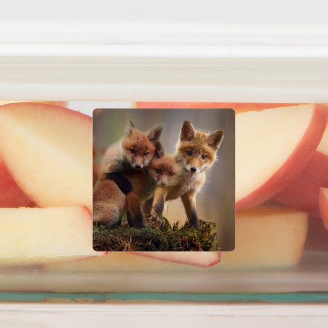 Foxy Triplets (Affixed)