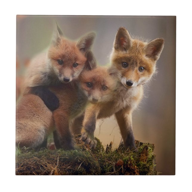Foxy Triplets Ceramic Tile (Front)