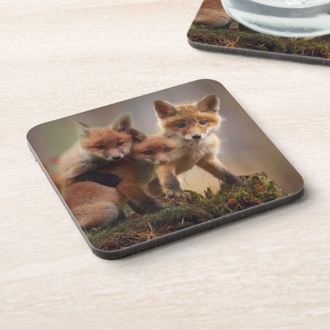 Foxy Triplets Coaster (Left Side)