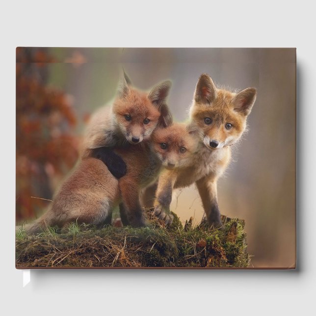 Foxy Triplets Guest Book (Front)