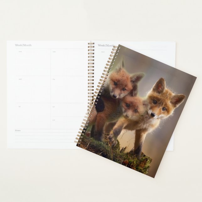 Foxy Triplets Planner (Display)