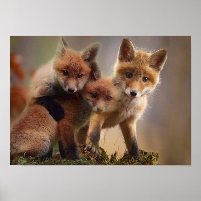 Foxy Triplets Poster (Front)