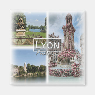 FR0120 Europe, France, Lyon, Fridge Magnet