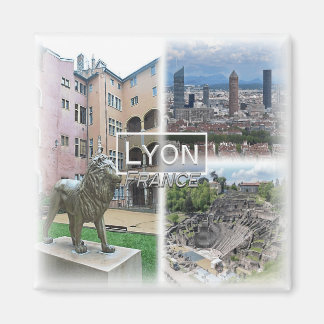 FR0121 Europe, France, Lyon, Fridge Magnet