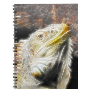 Fracguana Notebook