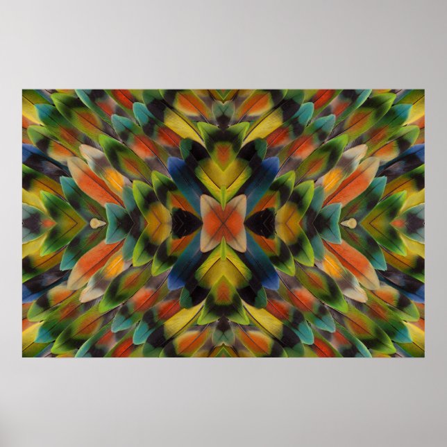 Fractal Design Of Lovebird Feathers Poster (Front)