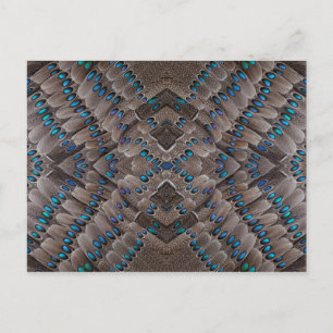 Fractal Design Pheasant Feather Postcard