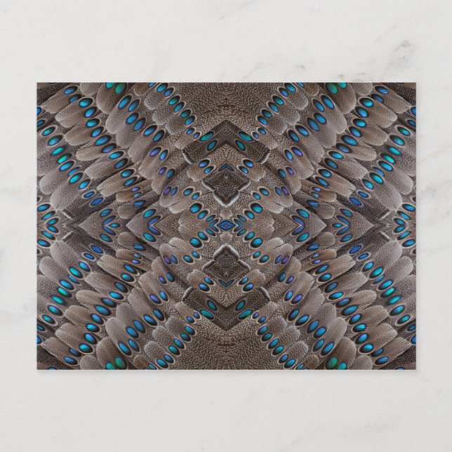 Fractal Design Pheasant Feather Postcard (Front)