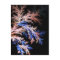 Fractal fern