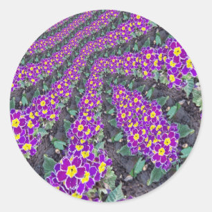 Fractal Flowers Classic Round Sticker
