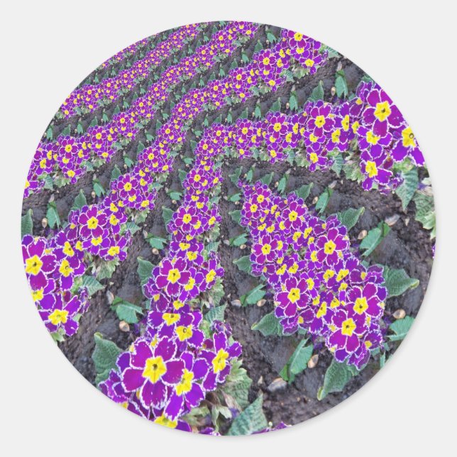 Fractal Flowers Classic Round Sticker (Front)