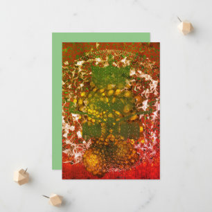 Fractal Patterns Announcement